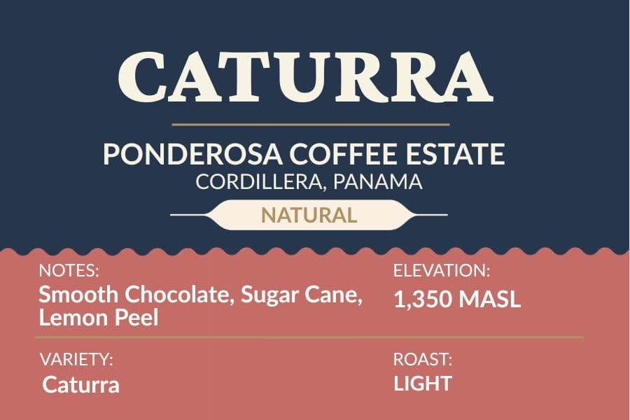 Ponderosa Caturra Natural